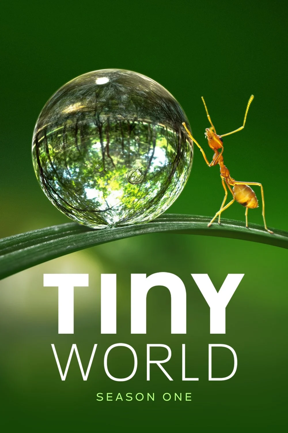 Tiny World (Season 1)